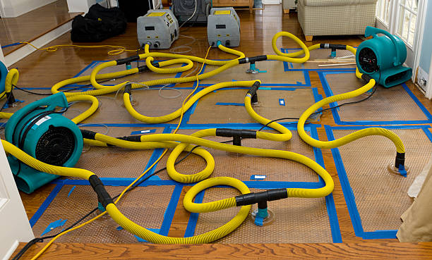 Professional Water Extraction technician working in Renton, WA